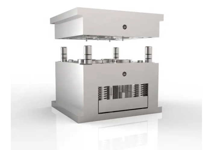 blog mold